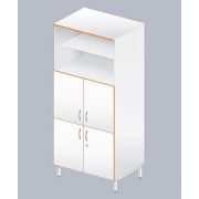 Шкаф лабораторный ЛАБ-800 ШПр