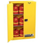 Шкаф безопасности Модель 894500