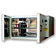 Шкаф сушильный SNOL 200/200