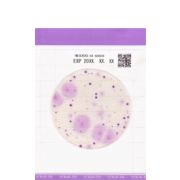 Тест-пластины Easy Plate YM-R для экспресс-определения дрожжей и плесеней