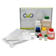 НАБОР ДЛЯ ВЫЯВЛЕНИЯ АНТИТЕЛ К РЕОВИРУСУ ПТИЦ