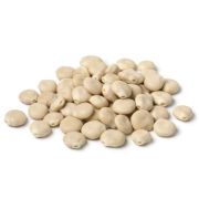 XEMATест ЛЮПИН