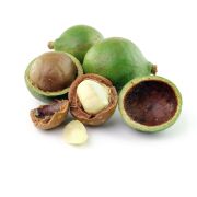 XEMATест МАКАДАМИЯ